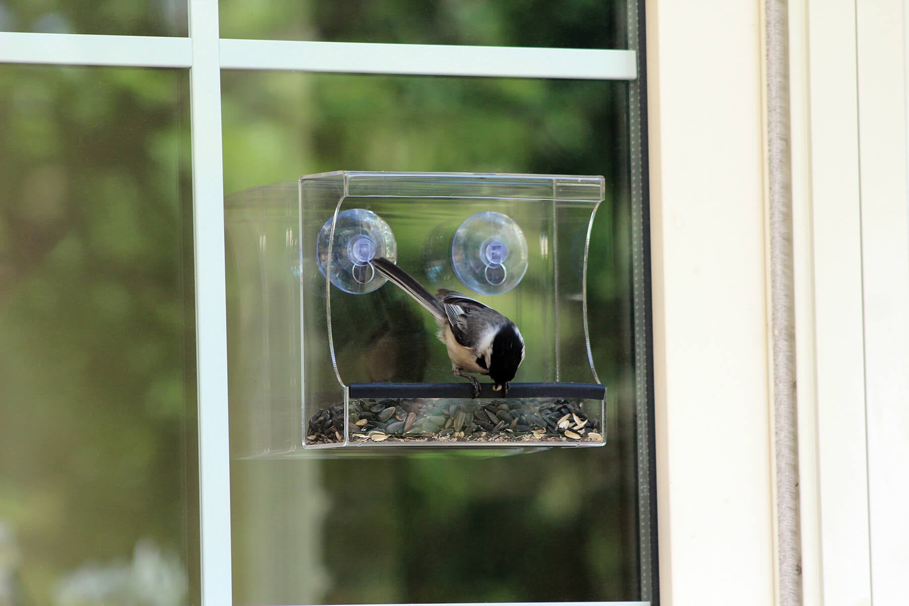 10772 Pinebush Open Trough Window Feeder Chickadee